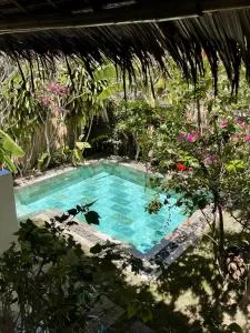 Kasiyahan house with private swimming pool - Caticlan