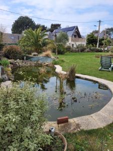 Appartements saint lunaire : Appartement 2 Chambres