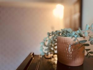 Nuit sous le Clocher - 374