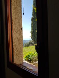 Appartements Appartement VUE MER an der Cote d-Azur fur 2-3 Personen mit Gartenanteil : photos des chambres