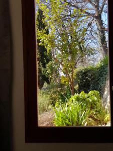 Appartements Appartement VUE MER an der Cote d-Azur fur 2-3 Personen mit Gartenanteil : photos des chambres