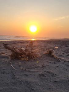 Secluded Beachfront Paradise