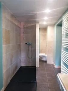 Le Lys bleue - Le Vaulmier