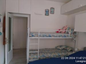 Kiko apartment