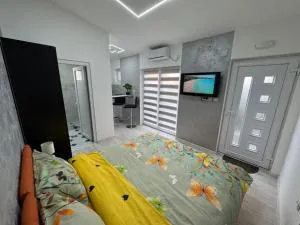 Mitić Apartmani 1 - 索科矿泉村