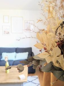 Appartements Appartement studio Cosy Centre-Ville : photos des chambres