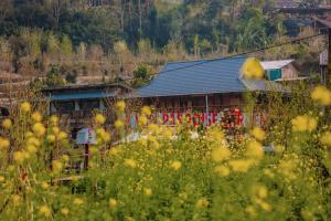 Mường Hoa Local House
