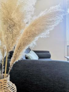Appartements Appartement studio Cosy Centre-Ville : photos des chambres