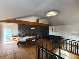 Villa OLIVA - 赫洛霍韦茨