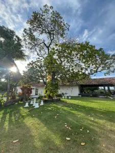 Fazenda Cantinho in the Sky - Silva Jardim