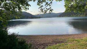 Maisons de vacances Le gite du four a pain : photos des chambres