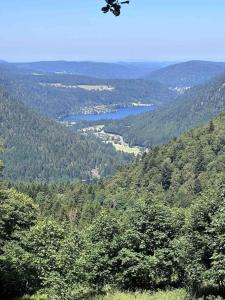 Maisons de vacances Le gite du four a pain : photos des chambres