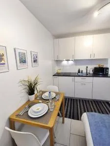 BASELiving Studio - Near ESC - Bahnhof SBB - St Jakob - 明兴施泰因