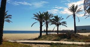 Playa del Pinar home