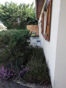 Maisons de vacances Maison entre Seine et foret : photos des chambres