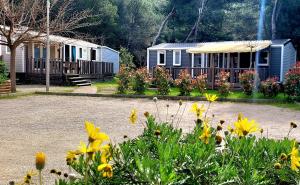 Campings Camping Aux Portes De Cassis : Mobil Home Supérieur (6 Adultes)