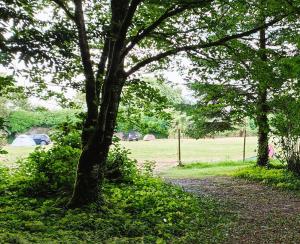 Camping Vieilles Charrues Petit-déjeuner navette et priscine inclus dans le prix proche Carhaix