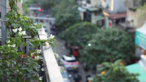 Vietnam Travelers Home 1 with Private Balcony