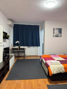 Park Lake Mall Studio