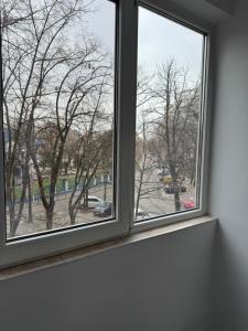 Park Lake Mall Studio