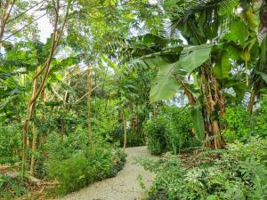 Kejani Paradise - Tropical serviced Condo at The Soul, Paje