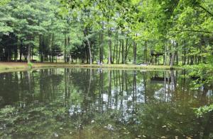 Chez Dom & Oli camping GINA PARK