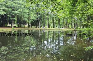 Campings Chez Dom & Oli camping GINA PARK : photos des chambres