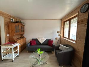 Appartements Logis proche Gerardmer avec spa : photos des chambres