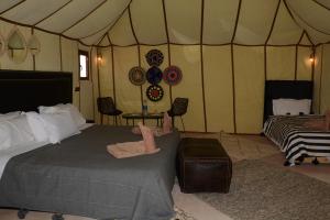 Merzouga Safari Luxury Camp