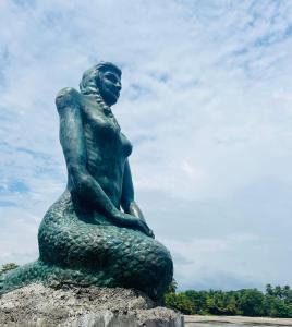 Casa Cariad Close to surfing lessons and more!