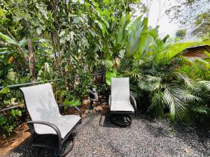 Casa Cariad Close to surfing lessons and more!