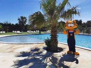 Campings Les mobil homes de Naka, une entree gratuite adulte pour la Reserve Africaine de Sigean : photos des chambres