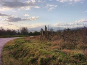 Bed And Breakfast Loriana