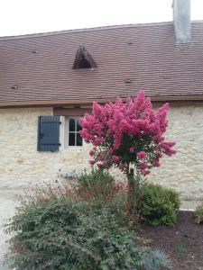 Séjour authentique en Dordogne avec piscine
