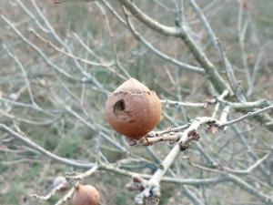 Bed And Breakfast Loriana