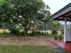 The Silent Nest - Guest House