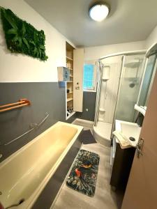 Maisons de vacances Les mesanges, 10m Zoo de Beauval, climatisation : photos des chambres