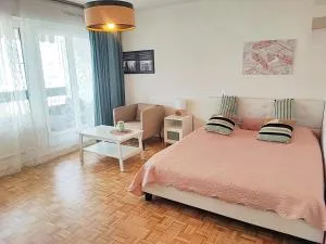 T1 proche de Genève - Parking, zone calme et bien desservie - belle vue - 雷尼耶