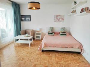 Appartements T1 proche de Geneve - Parking, zone calme et bien desservie - belle vue : photos des chambres