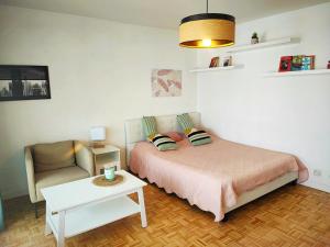 Appartements T1 proche de Geneve - Parking, zone calme et bien desservie - belle vue : photos des chambres