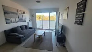 L'Appartement Panorama des Pins - 罗尼