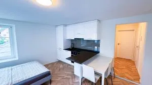 Blue Apartment - Gebenstorf