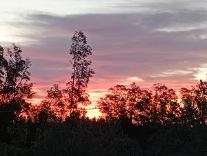 Casa Elisa La Caletta img49