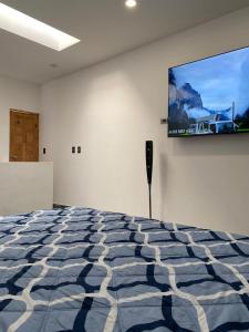 Departamento Arrecife