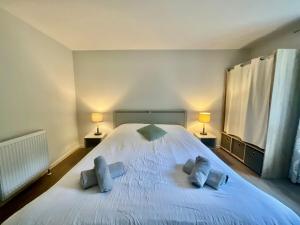 Le Duplex Géromois, beautiful apartment & city center