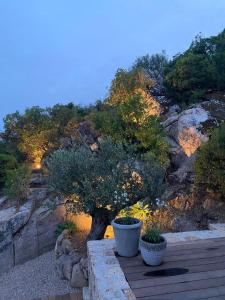 B&B / Chambres d'hotes NOUVEAU VISTA CORSICA vue a couper le souffle : photos des chambres