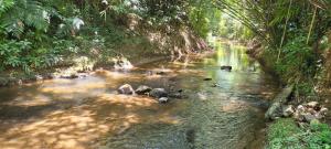 Sítio Com riacho particular em Cachoeira de Macacu - 3hvězdičkové hotely ve městě Cachoeiras de Macacu