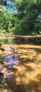 Sítio Com riacho particular em Cachoeira de Macacu