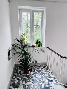 Laffitta Camere di Venezia