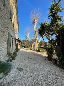 Maisons de vacances Gite Mas provencal : photos des chambres